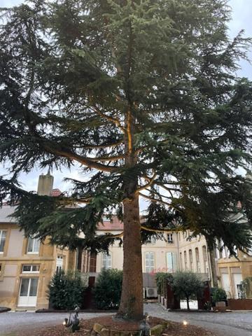 La Cour De La Tresorerie Mety Exteriér fotografie